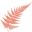 shannonheatonmusic.com icon