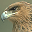 shegods.com icon