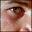 shelliwood.com icon