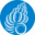 shellmuseum.org icon