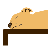 shelterbeds.org icon