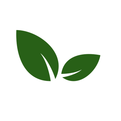 Shine Brand Seeds