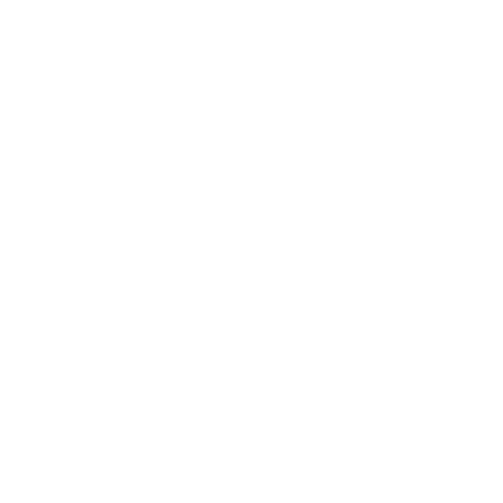 shinedigital.se icon