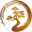 shininglightdojo.com icon
