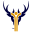 shinty.com icon