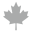 shiptotheborder.com icon