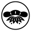 shochikugeino.co.jp icon