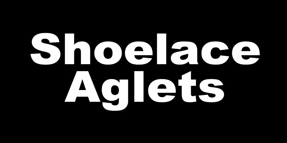 shoelaceaglets.com icon