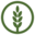 Domain Favicon