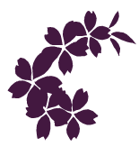 shoppingspreeboutique.net icon