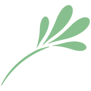 shopsapling.com icon