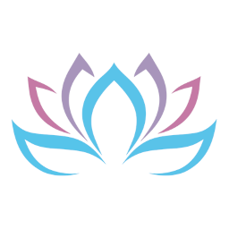 shopvdtcuracao.com icon