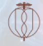 sids.org.sg logo