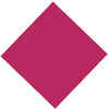 siesfvmo.com icon