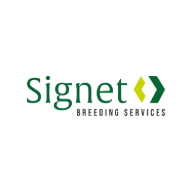 signetdata.com icon