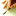 signmeister.com icon