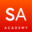 sijthoffaccountantsacademy.nl icon