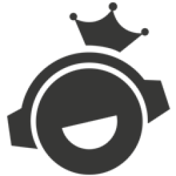 silentdiscoking.com icon