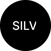 silv.pt icon