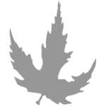 silver-ip.com icon