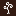 silverwoodbooks.co.uk icon