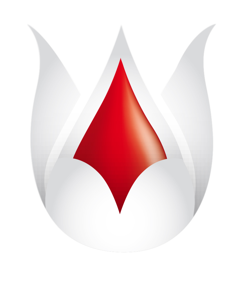 simfo.de icon