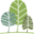 simplecremation.org icon