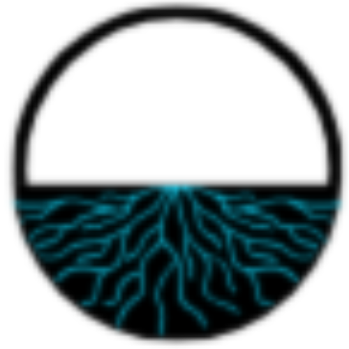 simpletechpulse.nl icon