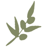 simplyorganicbeauty.com icon