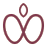 sinapple.ru icon
