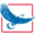 sinav.com.tr icon