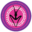 sistersinside.com.au icon
