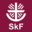 skf-hochsauerland.de icon