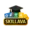 skillava.edu.pl icon