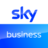 skybusiness.com logo