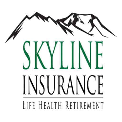 skylineinsuranceagency.com icon