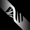 slacktivity.com icon