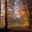 slc-saint-leger.com icon
