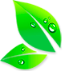 slccflooring.com icon