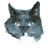 slekt.net icon