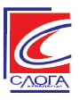 slogainternational.com icon
