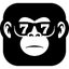 slot-monkey-casino.org icon