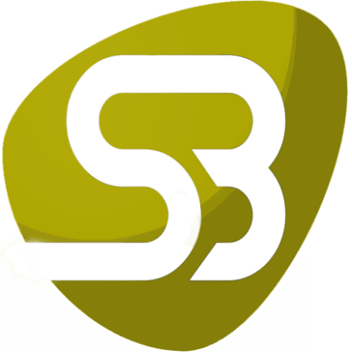 smallblock.dk icon