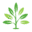 smalltipsforbusiness.com icon