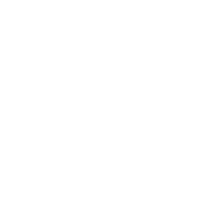 SmartBird logo