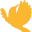 Carolina Collegiate Federal Credit Union