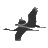 smartcomputing.com icon