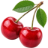 sms.ru icon