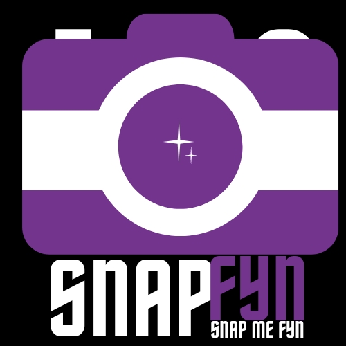 snapfyn.com icon