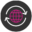 snapseo.ca icon